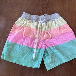 Chubbies Brand Performance Shorts with Liner